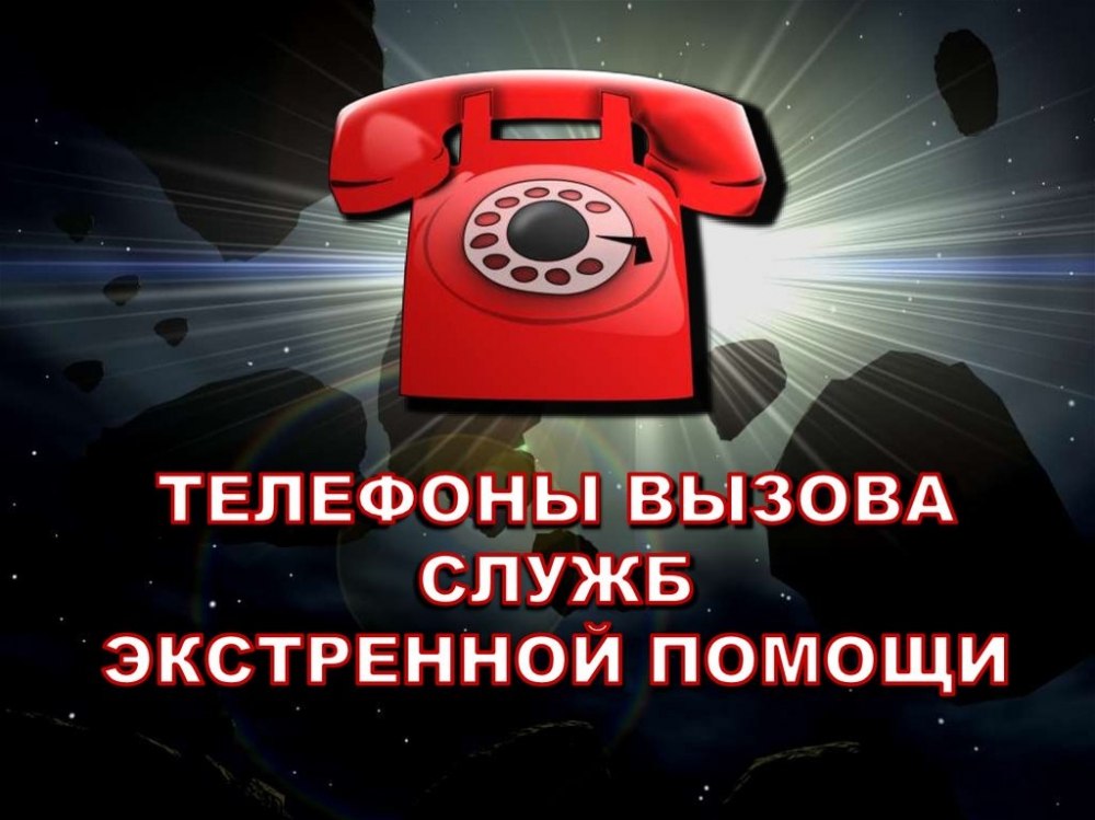 5429617082472981346 (3).jpg